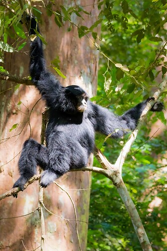 IMG_6948_DxO