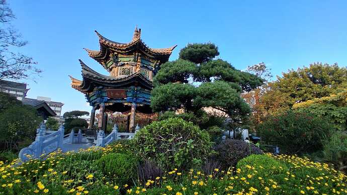 IMG-20251028-WA0070