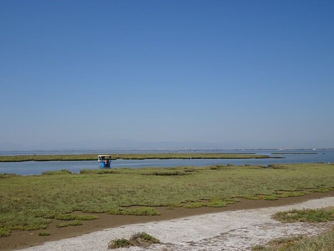 DSC04260_1
