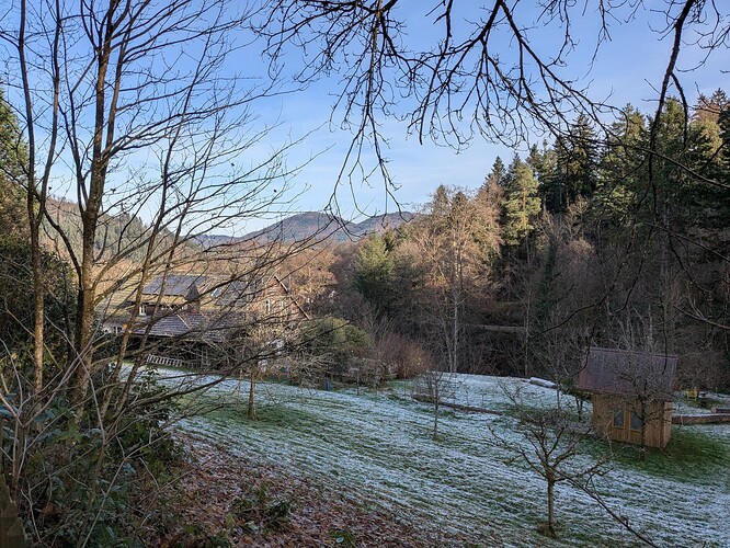 PXL_20250101_104513563_1