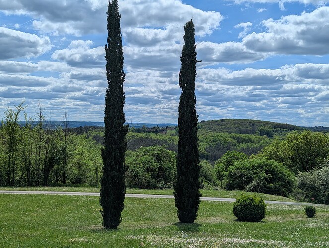 PXL_20260416_130422892_1