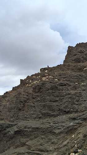IMG-20260329-WA0010