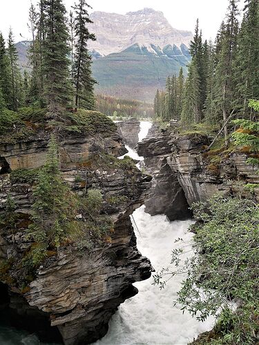 L'Ouest canadien à pleins poumons: épisode 1, les Rocheuses et la chaîne Alberta - fabienne65