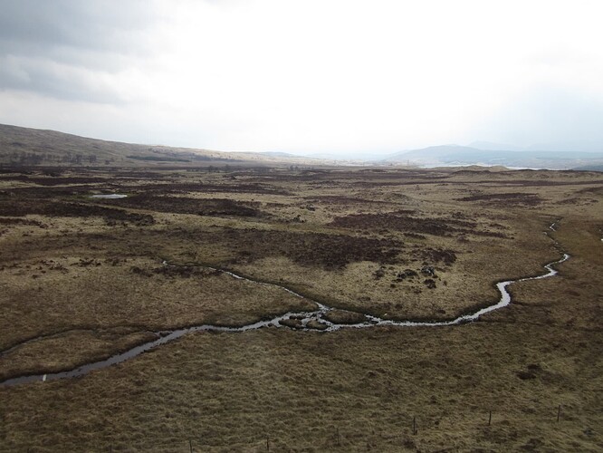 Ecosse 2013 490