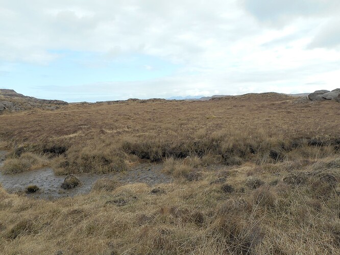 bog marécageux boueux