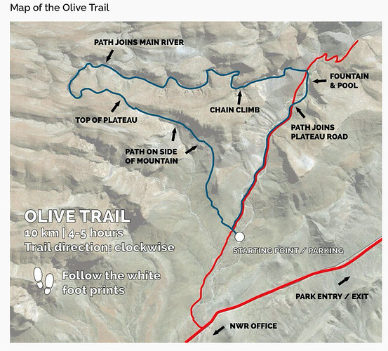Olive trail