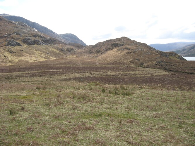 Ecosse (313)