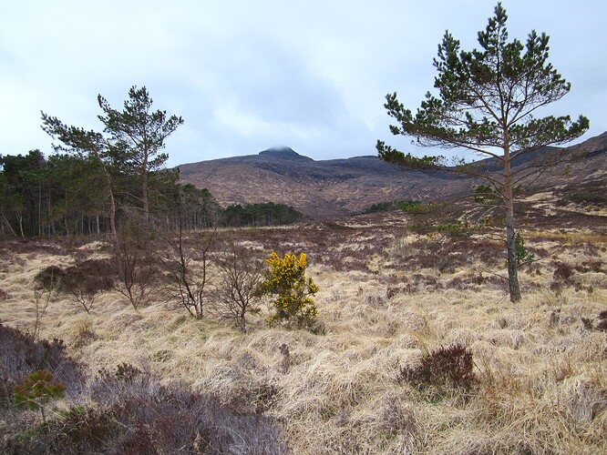 Ecosse 2013 300