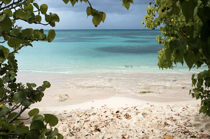 Quinze jours de pause sur l'île-papillon (récit en images) - krikriveve