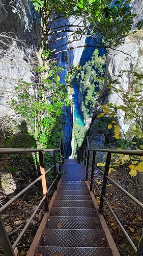 IMG_20251024_125834