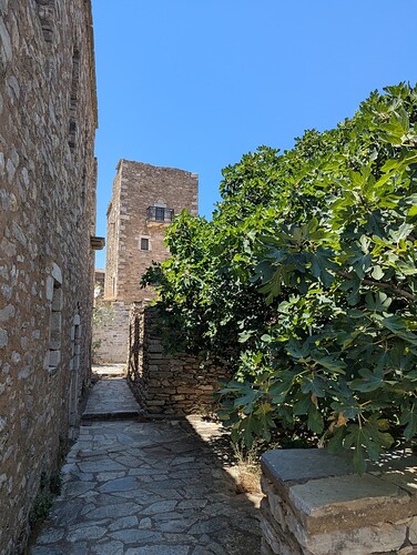 PXL_20250721_104638908_1
