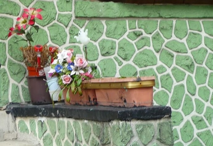 P113058228