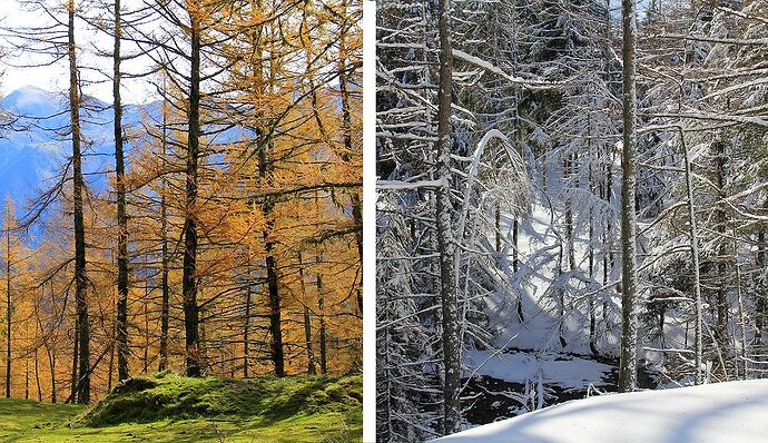 Dans les Hautes Pyrénées, teintes d'automne et blancheur hivernale - jem