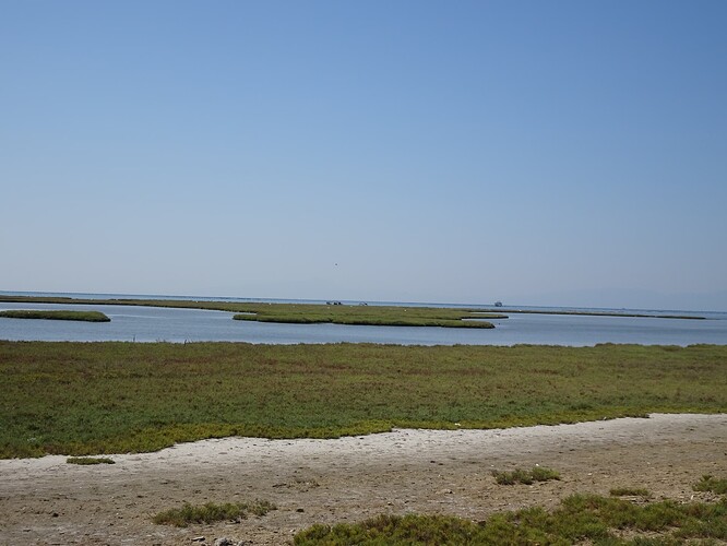 DSC04253_1