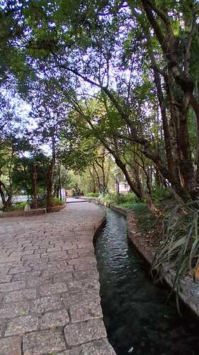 IMG-20251118-WA0007(3)