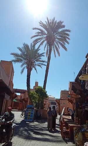 IMG-20241219-WA0010