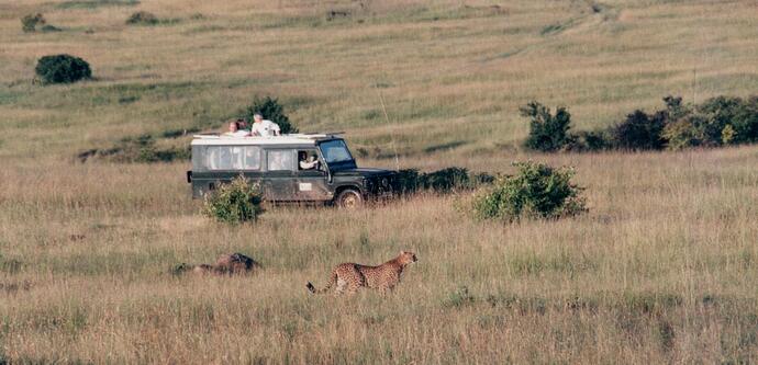 05 MASAI MARA SAFARI 3 02