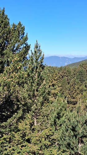 IMG-20250815-WA0005