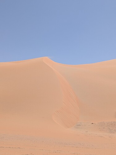 PXL_20250417_070516269_1