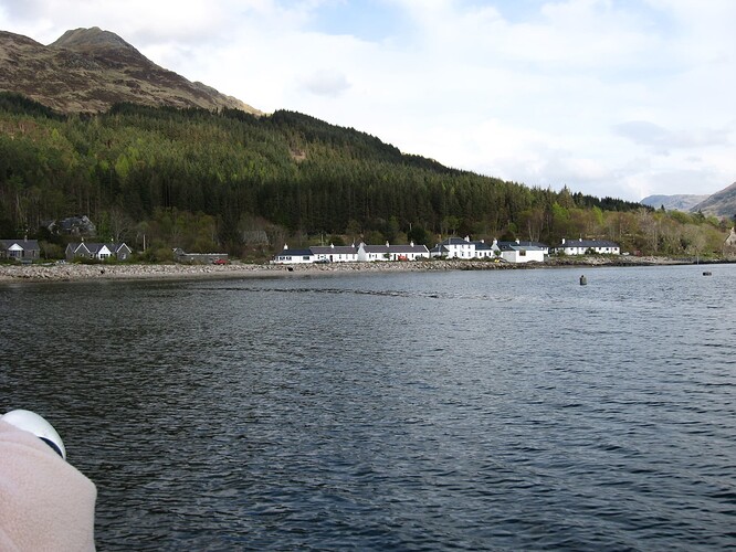 Ecosse (84)