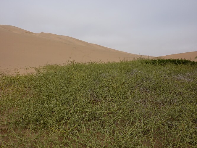P1150293