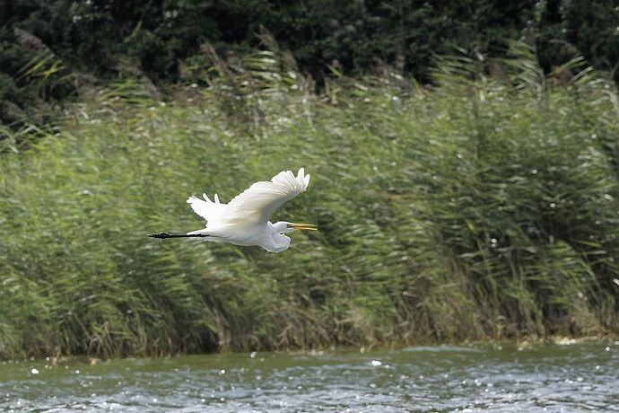 5 jours en Baie de Somme : un séjour très varié autour de Saint-Valéry - La-Corse-a-petits-pas