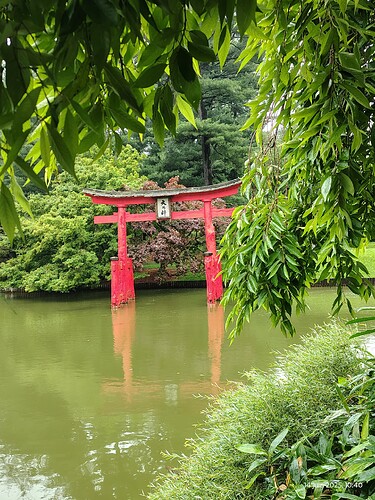 IMG_20250614_104054592_HDR