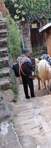 IMG-20251126-WA0009