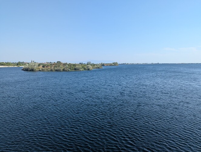 PXL_20250806_071617312_1