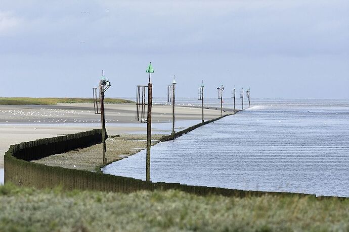 5 jours en Baie de Somme : un séjour très varié autour de Saint-Valéry - La-Corse-a-petits-pas