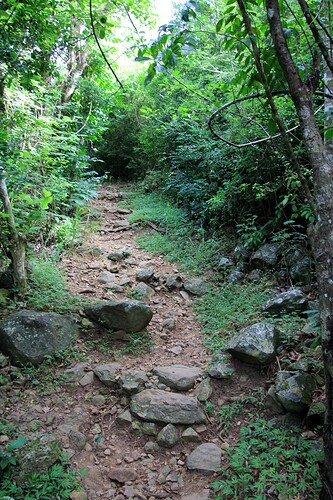 Monter au Paradis