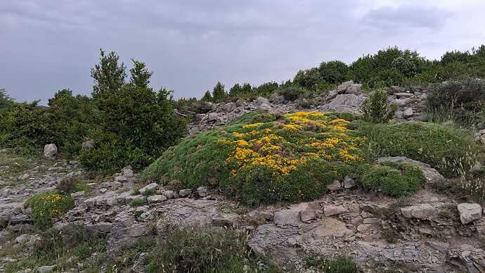 IMG-20250614-WA0011