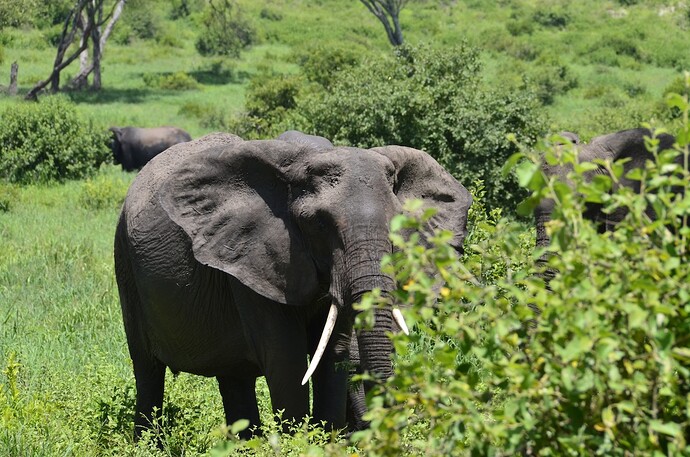 TANZANIE ZANZIBAR - 11 sur 22