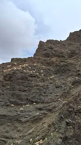 IMG-20260324-WA0004