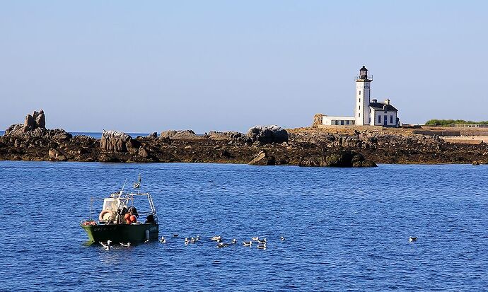 Re: Souvenirs d’escapades en Bretagne, principalement dans le sud du Finistère. (seconde partie)  De Concarneau … aux îles des Glénan. - jem