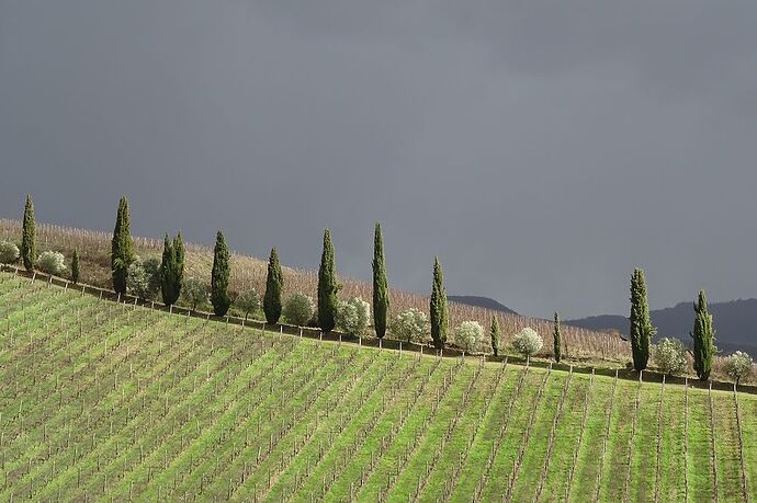 Retour sur 5 jours en Toscane (février 2016) - Osiris130