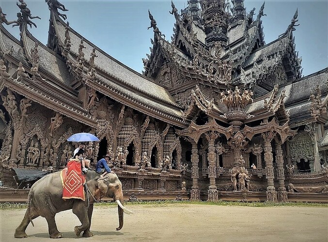 balade en éléphant