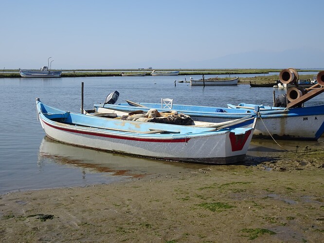 DSC04237_1
