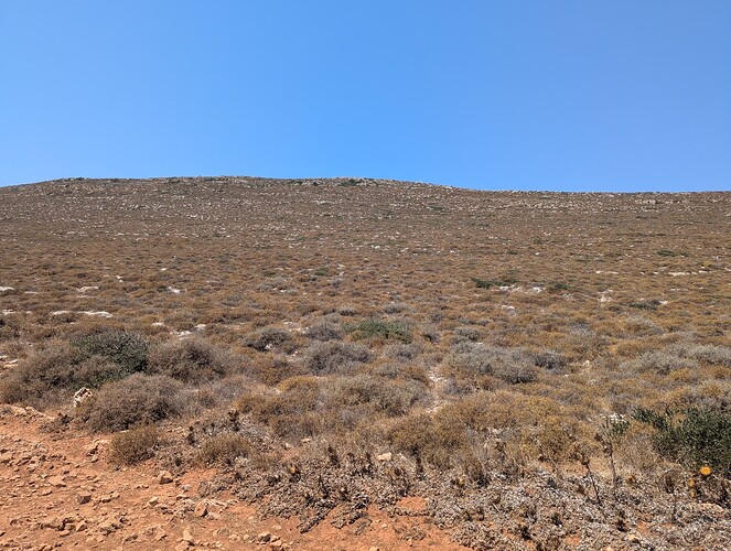 PXL_20250721_095509640_1
