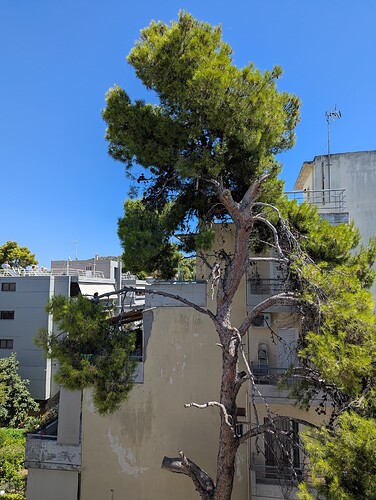 PXL_20250729_114525396_1