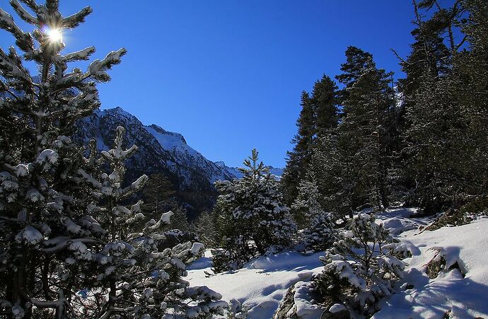 Dans les Hautes Pyrénées, teintes d'automne et blancheur hivernale - jem