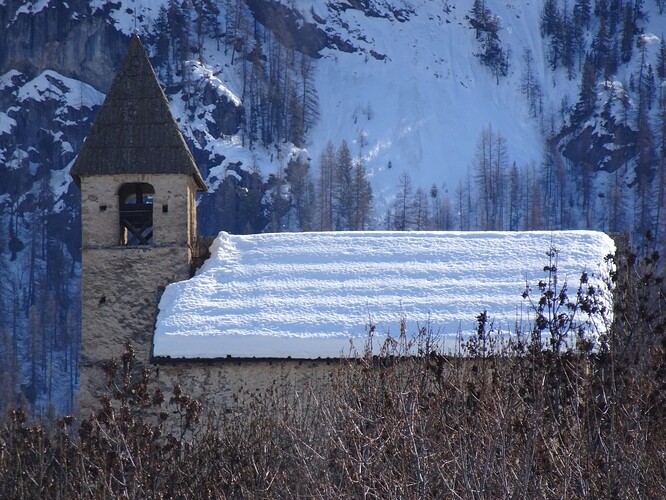 DSC05236_1