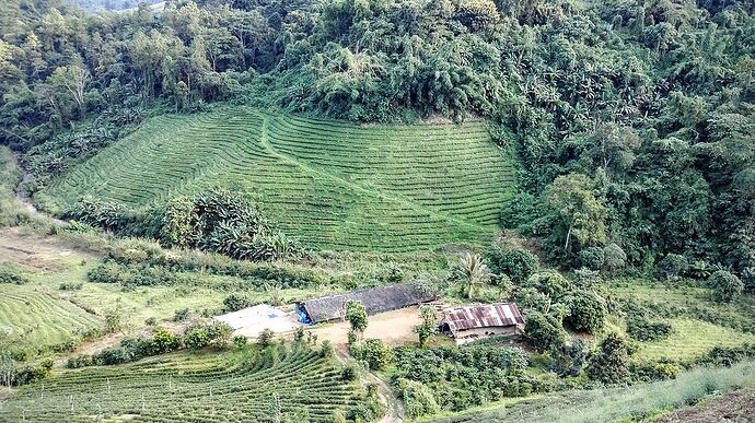 15 jours au Nord-Laos en nov 2015 - bernardlam