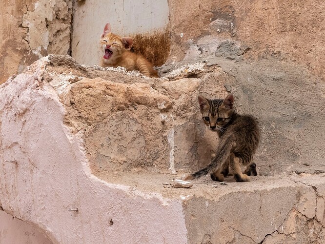 Ksar Ommarsia