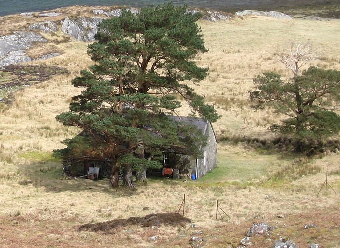 Ecosse (146) - Copie