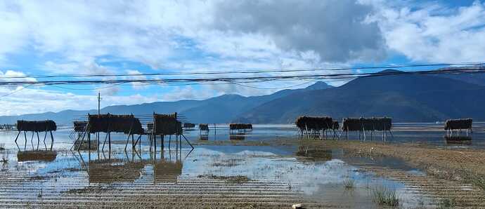 IMG-20251115-WA0013