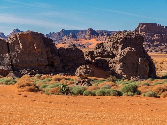 Îlot de verdure, Tin Merzouga