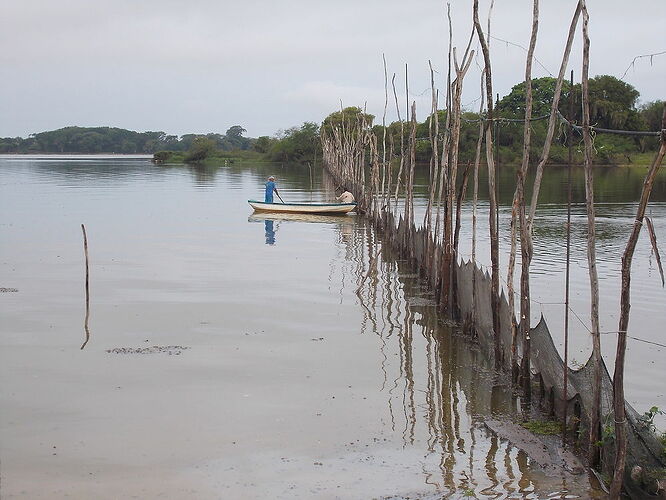 En passant par Palenque - 3 jours de camping au Chiapas (Mexique) - Aymee