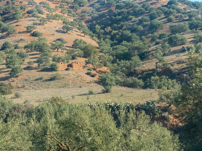 Anciennes maisons kabyles sur les coteaux
