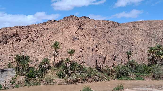 IMG-20260318-WA0013